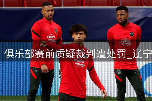 俱乐部赛前质疑裁判遭处罚 辽宁铁人公开致歉