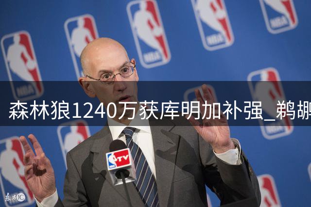 森林狼1240万获库明加补强 鹈鹕1600万引进马瑟林