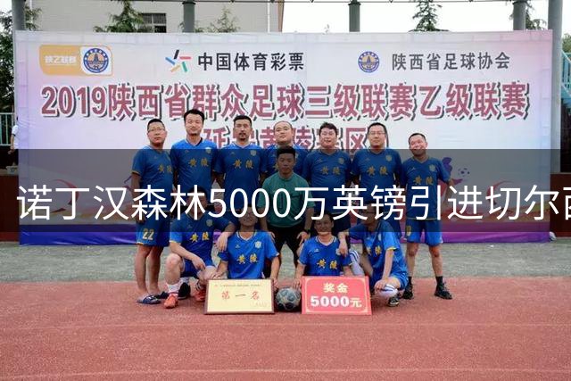 诺丁汉森林5000万英镑引进切尔西前锋德拉普
