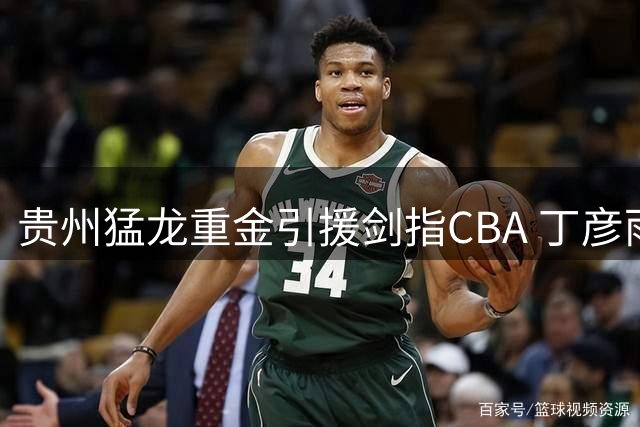 贵州猛龙重金引援剑指CBA 丁彦雨航率队冲击升降级赛